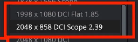 2K Scope 时间线分辨率选项