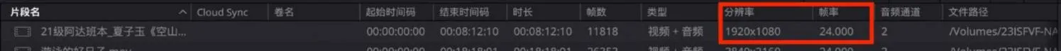 片源信息检查示例